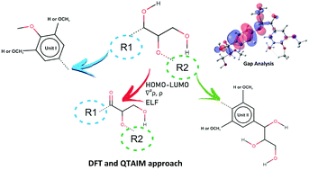 Graphical abstract: Influence of phenylpropanoid units of lignin and its oxidized derivatives on the stability and βO4 binding properties: DFT and QTAIM approach