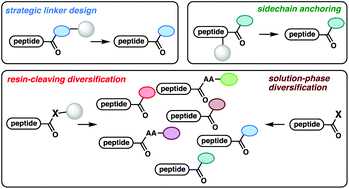 Graphical abstract: Recent advances in the synthesis of C-terminally modified peptides