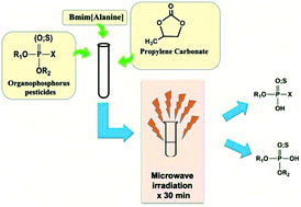 Graphical abstract: Microwave-assisted nucleophilic degradation of organophosphorus pesticides in propylene carbonate