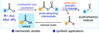 Graphical abstract: Photochemical generation of acyl and carbamoyl radicals using a nucleophilic organic catalyst: applications and mechanism thereof