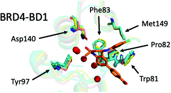 Graphical abstract: Structural variation of protein–ligand complexes of the first bromodomain of BRD4