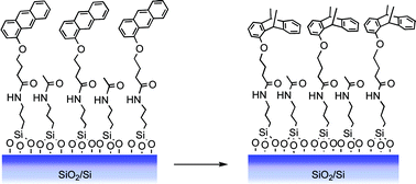 Graphical abstract: Direct formation of fullerene monolayers using [4+2] Diels–Alder cycloaddition