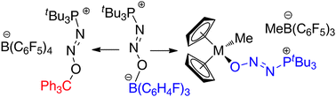 Graphical abstract: The synthesis and exchange chemistry of frustrated Lewis pair–nitrous oxide complexes