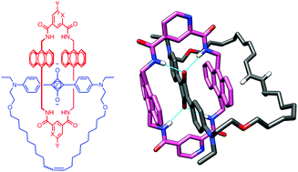 Graphical abstract: Squaraine [2]catenanes: synthesis, structure and molecular dynamics