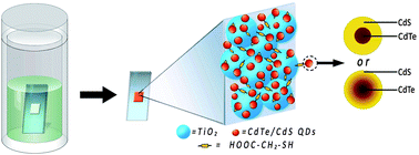 Graphical abstract: Highly efficient CdTe/CdS quantum dot sensitized solar cells fabricated by a one-step linker assisted chemical bath deposition