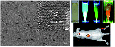 Graphical abstract: Fabrication of highly fluorescent graphene quantum dots using l-glutamic acid for in vitro/in vivo imaging and sensing