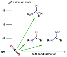 Graphical abstract: Reductive functionalization of CO2 with amines: an entry to formamide, formamidine and methylamine derivatives