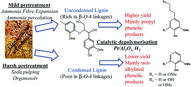 Graphical abstract: Catalytic depolymerisation of isolated lignins to fine chemicals using a Pt/alumina catalyst: part 1—impact of the lignin structure