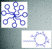 Graphical abstract: Lipopeptides: from self-assembly to bioactivity