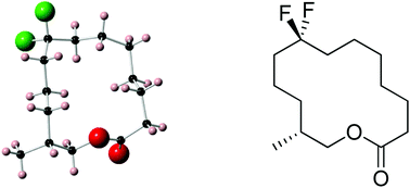 Graphical abstract: Fluorine in fragrances: exploring the difluoromethylene (CF2) group as a conformational constraint in macrocyclic musk lactones