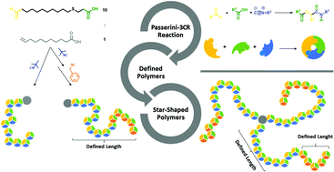 Graphical abstract: Controlling molecular weight and polymer architecture during the Passerini three component step-growth polymerization