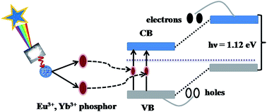 Graphical abstract: Down shifting and quantum cutting from Eu3+, Yb3+ co-doped Ca12Al14O33 phosphor: a dual mode emitting material