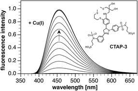 Graphical abstract: Rational design of a water-soluble, lipid-compatible fluorescent probe for Cu(i) with sub-part-per-trillion sensitivity