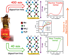 Graphical abstract: Ammonium tetrathiomolybdate as a novel electrode material for convenient tuning of the kinetics of electrochemical O2 reduction by using iron–porphyrin catalysts