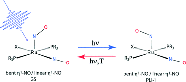 Graphical abstract: Photo-induced linkage NO isomers in the dinitrosyl complex [Ru(NO)2(PCy3)2Cl](BF4) identified by photocrystallography and IR-spectroscopy