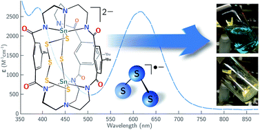 Graphical abstract: Multi-electron reactivity of a cofacial di-tin(ii) cryptand: partial reduction of sulfur and selenium and reversible generation of S3˙−