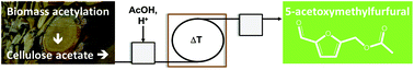 Graphical abstract: Cellulose acetate as a convenient intermediate for the preparation of 5-acetoxymethylfurfural from biomass