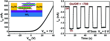 Graphical abstract: Enhanced current rectification and self-powered photoresponse in multilayer p-MoTe2/n-MoS2 van der Waals heterojunctions