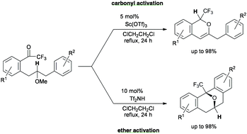 Graphical abstract: Divergent synthesis of CF3-substituted polycyclic skeletons based on control of activation site of acid catalysts