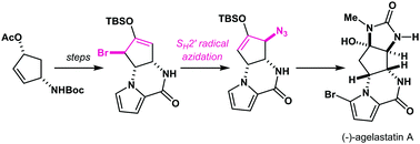 Graphical abstract: Total synthesis of (−)-agelastatin A: an SH2′ radical azidation strategy
