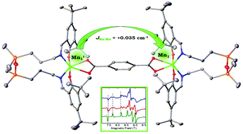 Graphical abstract: Dinuclear manganese(iii) complexes with bioinspired coordination and variable linkers showing weak exchange effects: a synthetic, structural, spectroscopic and computation study