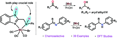 Graphical abstract: Cooperative Mn(i)-complex catalyzed transfer hydrogenation of ketones and imines