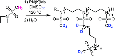 Graphical abstract: The anionic ring-opening polymerization of N-(methanesulfonyl)azetidine