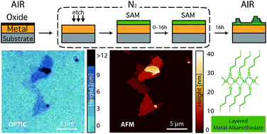 Graphical abstract: Spontaneous growth of 2D coordination polymers on functionalized ferromagnetic surfaces