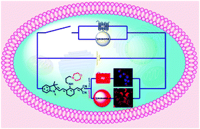 Graphical abstract: A lysosome-targeting dual-functional fluorescent probe for imaging intracellular viscosity and beta-amyloid