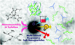 Graphical abstract: Multitasking polyamine/ferrioxalate nano-sized assemblies: thermo-, photo-, and redox-responsive soft materials made easy