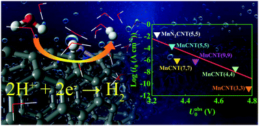 Graphical abstract: Enhancing hydrogen evolution activity by doping and tuning the curvature of manganese-embedded carbon nanotubes