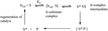 Graphical abstract: Catalysis, kinetics and mechanisms of organo-iridium enantioselective hydrogenation-reduction