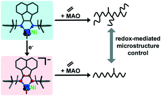 Graphical abstract: A mechanistic study of microstructure modulation in olefin polymerizations using a redox-active Ni(ii) α-diimine catalyst