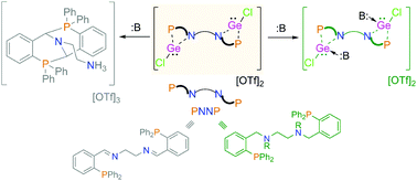 Graphical abstract: Stabilization of bis(chlorogermyliumylidene)s within bifunctional PNNP ligand frameworks and their reactivity studies