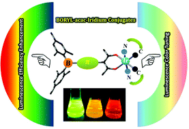Graphical abstract: Room temperature phosphorescent triarylborane functionalized iridium complexes