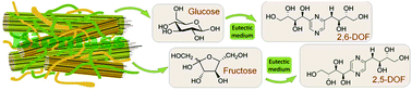 Graphical abstract: Valorization of monosaccharides towards fructopyrazines in a new sustainable and efficient eutectic medium