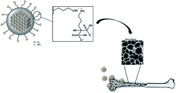 Graphical abstract: Mesoporous silica-based hybrid materials for bone-specific drug delivery