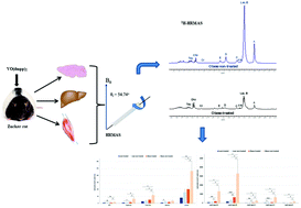 Graphical abstract: Metabolic effects of VO(dmpp)2 – an ex vivo1H-HRMAS NMR study to unveil its pharmacological properties