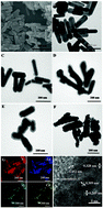 Graphical abstract: Hydrothermal synthesis of polydopamine-functionalized cobalt-doped lanthanum nickelate perovskite nanorods for efficient water oxidation in alkaline solution