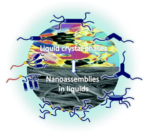 Graphical abstract: Beyond liquid crystals: new research trends for mesogenic molecules in liquids
