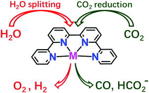 Graphical abstract: Molecular quaterpyridine-based metal complexes for small molecule activation: water splitting and CO2 reduction