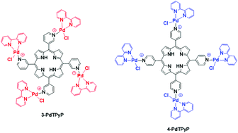 Graphical abstract: Photophysical, photodynamical, redox properties and BSA interactions of novel isomeric tetracationic peripheral palladium(ii)-bipyridyl porphyrins