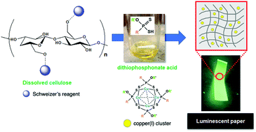 Graphical abstract: Facile in situ formation of luminescent cellulose paper using Schweizer's reagent as an inorganic solvent in water