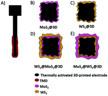 Graphical abstract: Local electrochemical activity of transition metal dichalcogenides and their heterojunctions on 3D-printed nanocarbon surfaces