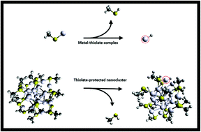 Graphical abstract: Predicting ligand removal energetics in thiolate-protected nanoclusters from molecular complexes