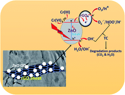 Graphical abstract: Reduced graphene oxide supported ZnO quantum dots for visible light-induced simultaneous removal of tetracycline and hexavalent chromium