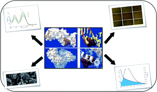 Graphical abstract: In vitro anticancer activity of parent and nano-encapsulated samarium(iii) complex towards antimicrobial activity studies and FS-DNA/BSA binding affinity