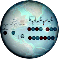 Graphical abstract: Transition metals enhance prebiotic depsipeptide oligomerization reactions involving histidine