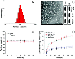 Graphical abstract: A cell membrane vehicle co-delivering sorafenib and doxorubicin remodel the tumor microenvironment and enhance immunotherapy by inducing immunogenic cell death in lung cancer cells