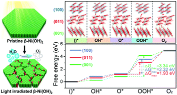 Graphical abstract: Photo-irradiation tunes highly active sites over β-Ni(OH)2 nanosheets for the electrocatalytic oxygen evolution reaction